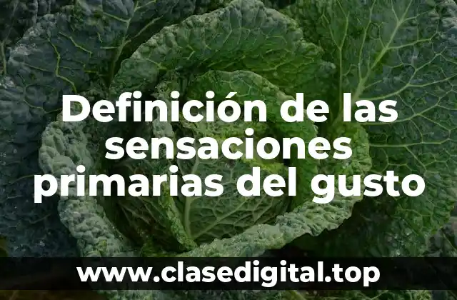 Definición de las sensaciones primarias del gusto