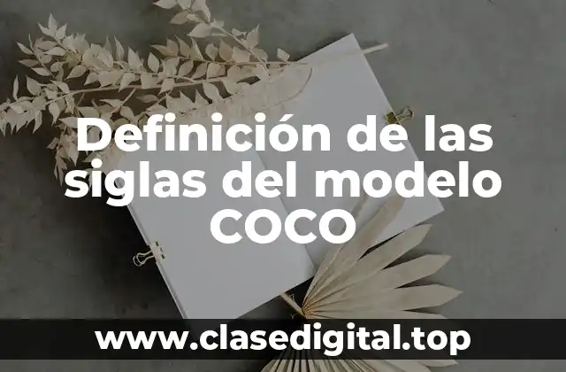 📗 Definición técnica de COCO