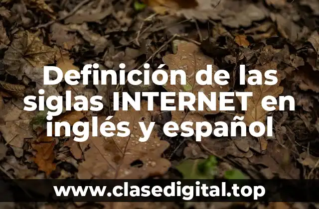 Definición de las siglas INTERNET en inglés y español