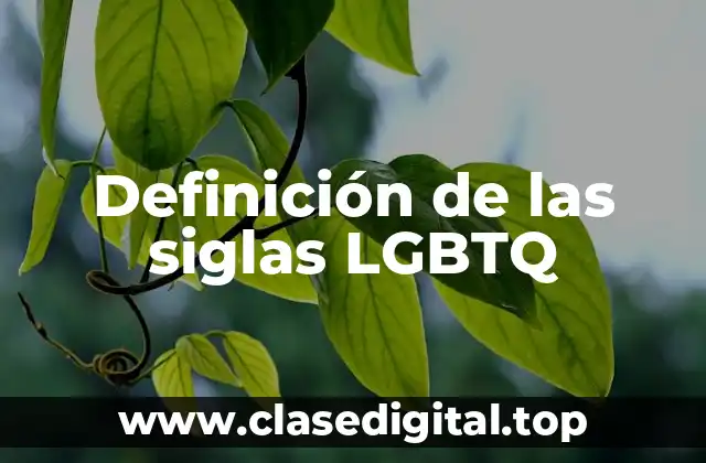 📗 Definición técnica de LGBTQ