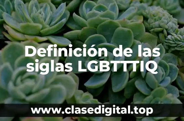 Definición de las siglas LGBTTTIQ