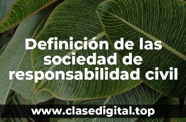 Definición de las sociedad de responsabilidad civil