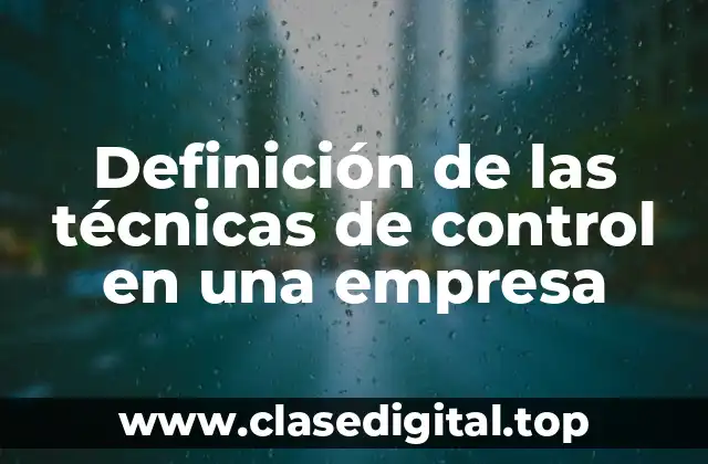 Definición de las técnicas de control en una empresa