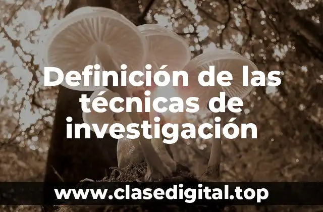 Definición de las técnicas de investigación