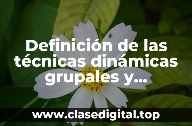 Definición de las técnicas dinámicas grupales y integración