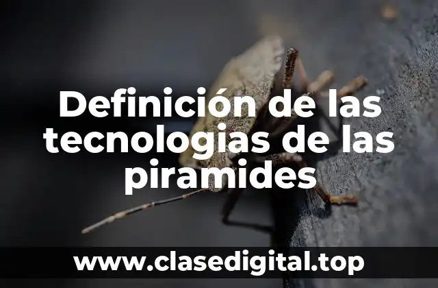 Definición de las tecnologias de las piramides