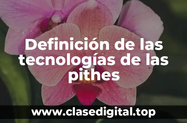 Definición de las tecnologías de las pithes