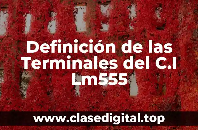 Definición de las Terminales del C.I Lm555