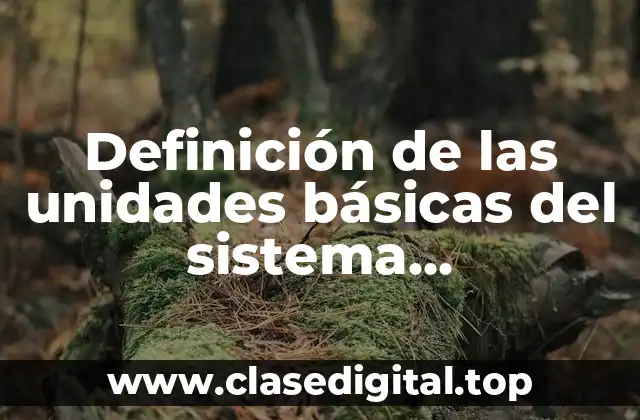 Definición de las unidades básicas del sistema internacional
