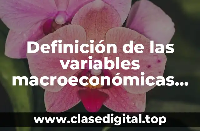 Definición de las variables macroeconómicas más importantes