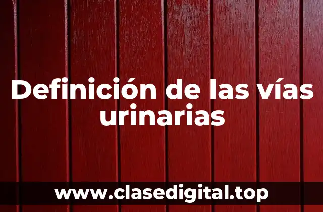 Definición de las vías urinarias