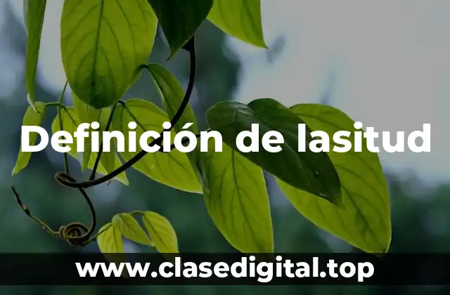 Definición de lasitud