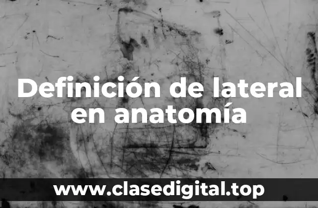 Definición de lateral en anatomía