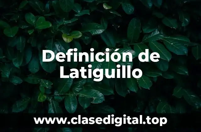 📗 Definición técnica de latiguillo