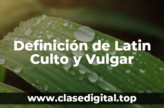 Definición de Latin Culto y Vulgar