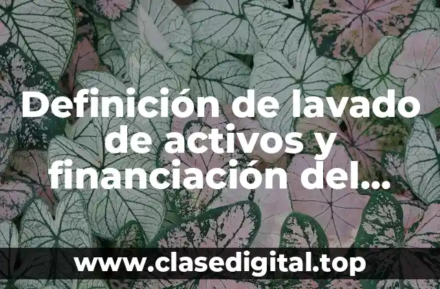 Definición de lavado de activos y financiación del terrorismo