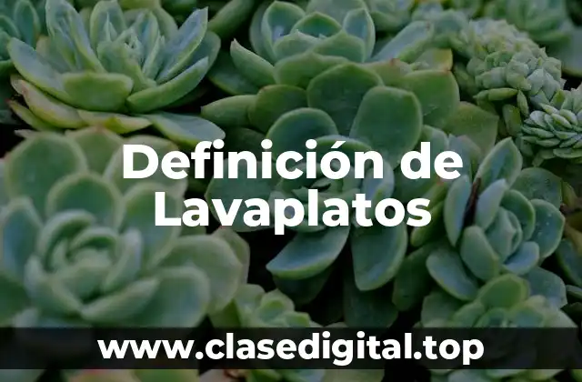 Definición de Lavaplatos