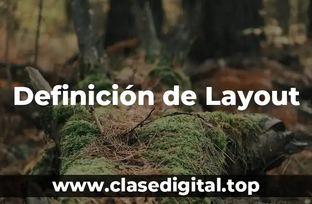 📗 Definición técnica de Layout