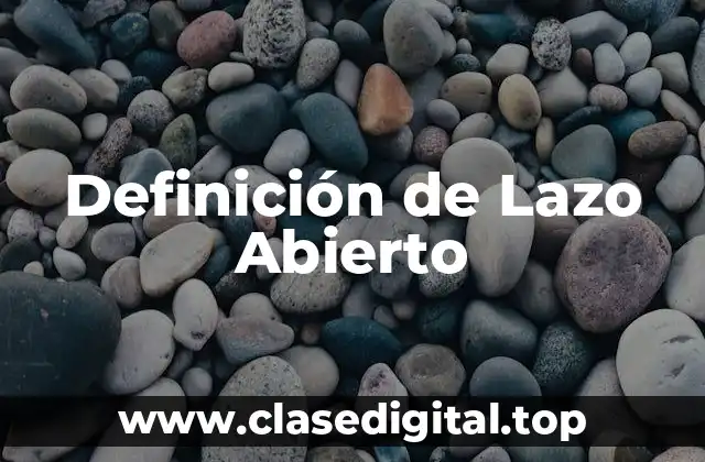 Definición de Lazo Abierto
