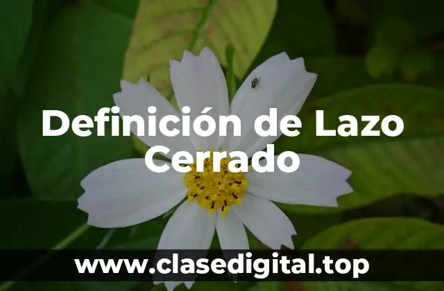 Definición de Lazo Cerrado
