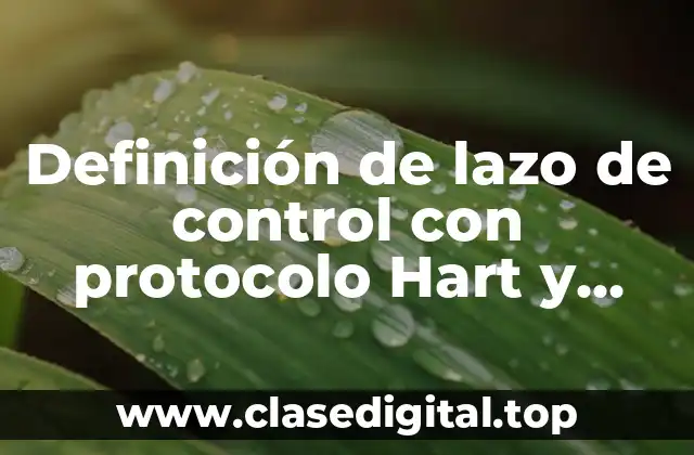 Definición de lazo de control con protocolo Hart y Fieldbus