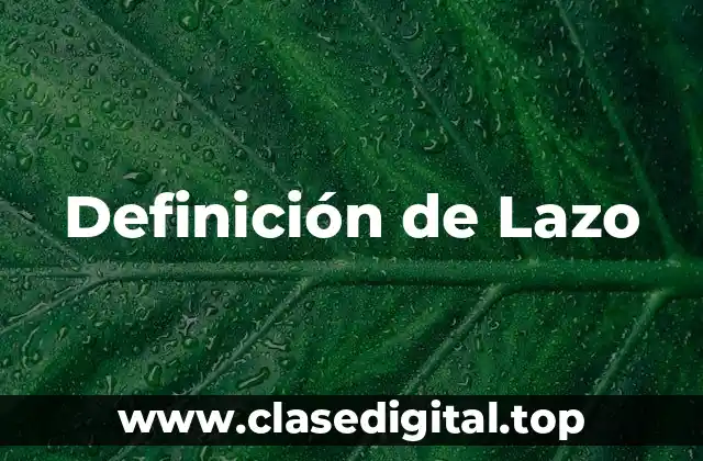 Definición de Lazo