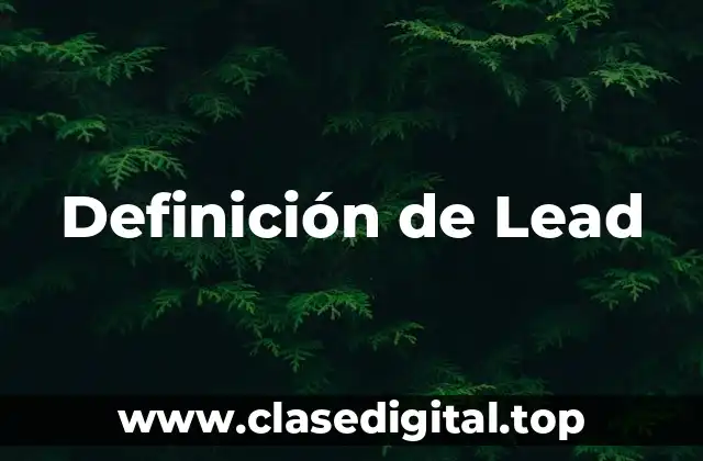 Definición de Lead