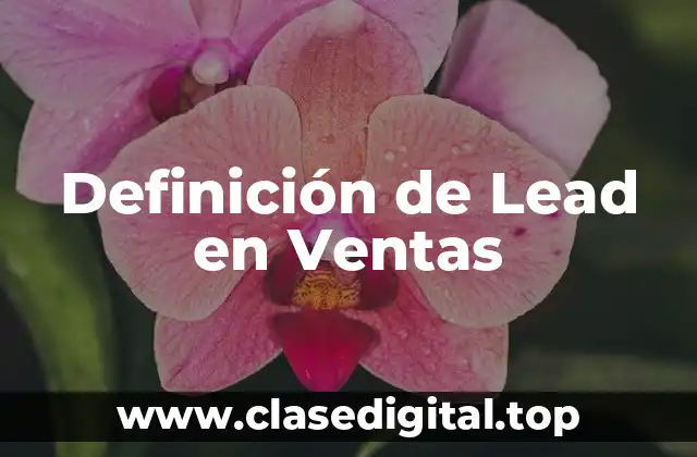 Definición de Lead en Ventas