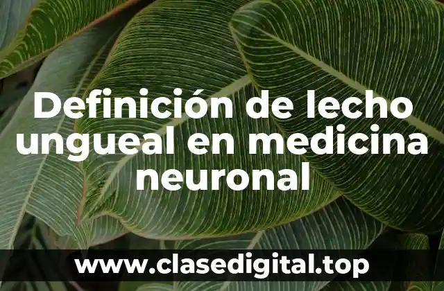 Definición de lecho ungueal en medicina neuronal