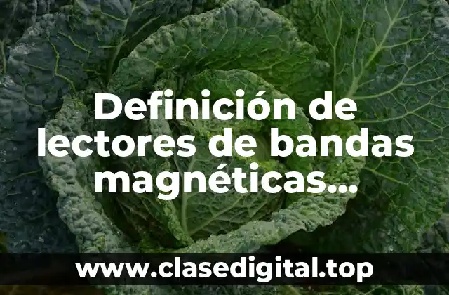Definición de lectores de bandas magnéticas informática