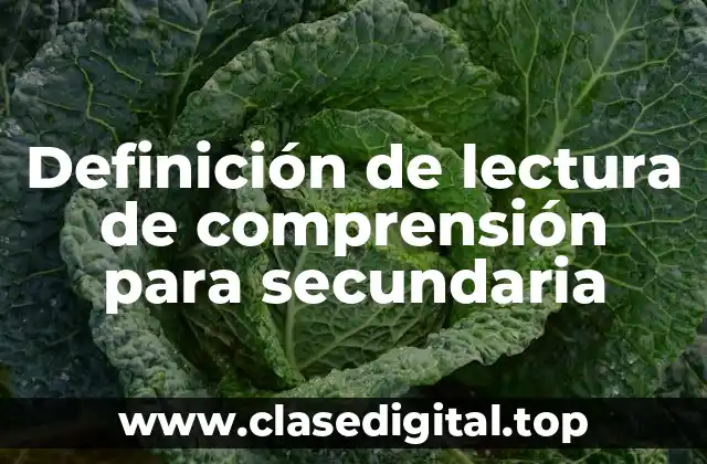 Ejemplos de lectura de comprensión para secundaria