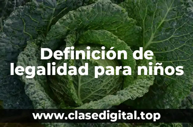 📗 Definición técnica de legalidad para niños