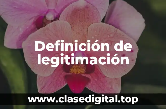 Definición de legitimación