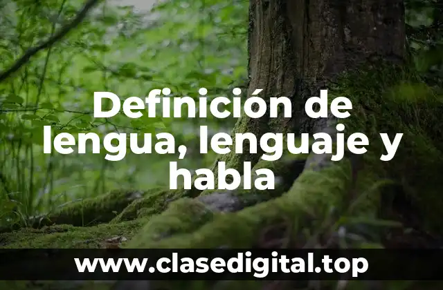 Ejemplos de lengua, lenguaje y habla