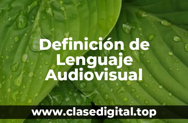 Definición de Lenguaje Audiovisual