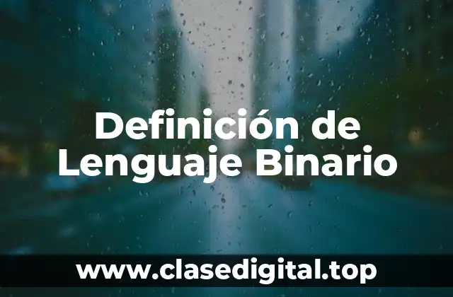 Definición de Lenguaje Binario