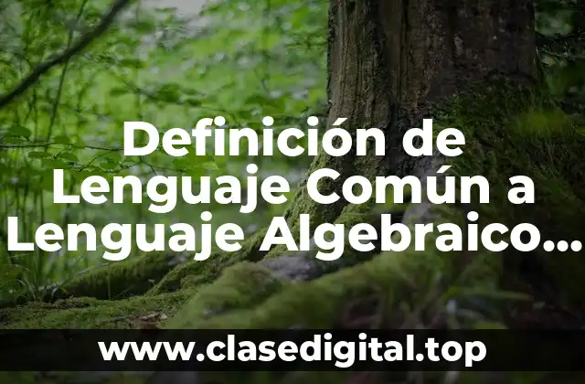 Definición de Lenguaje Común a Lenguaje Algebraico para Principiantes
