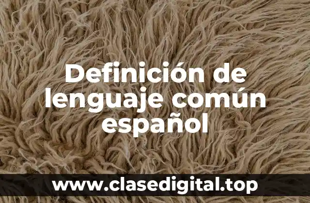 Definición de lenguaje común español
