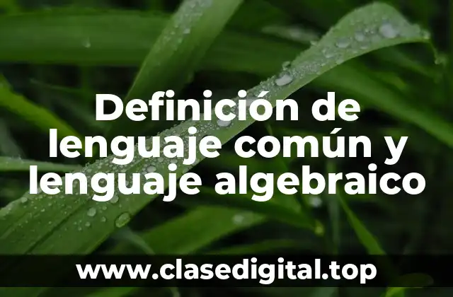 ✔️ Definición técnica de lenguaje algebraico