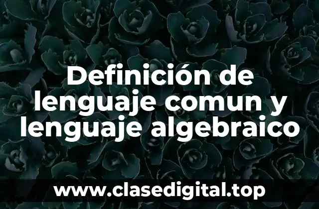 Definición de lenguaje comun y lenguaje algebraico
