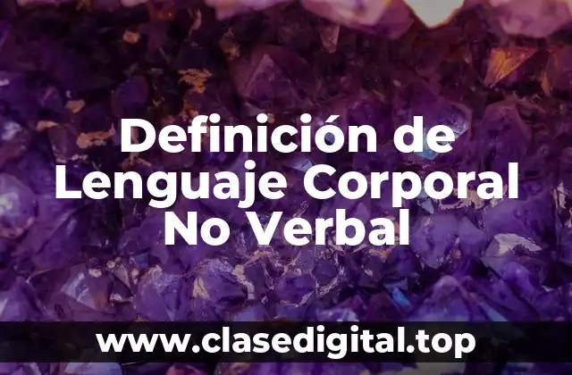 Definición de Lenguaje Corporal No Verbal