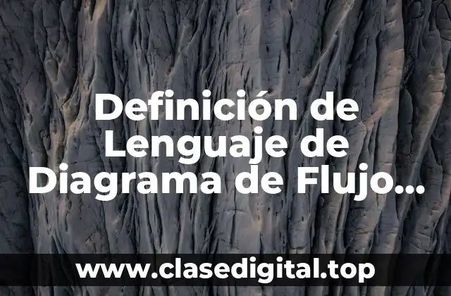 Definición de Lenguaje de Diagrama de Flujo en Informática