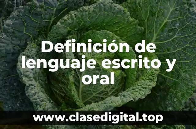 Ejemplos de lenguaje escrito y oral