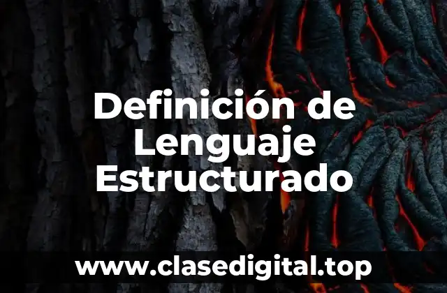 Definición de Lenguaje Estructurado