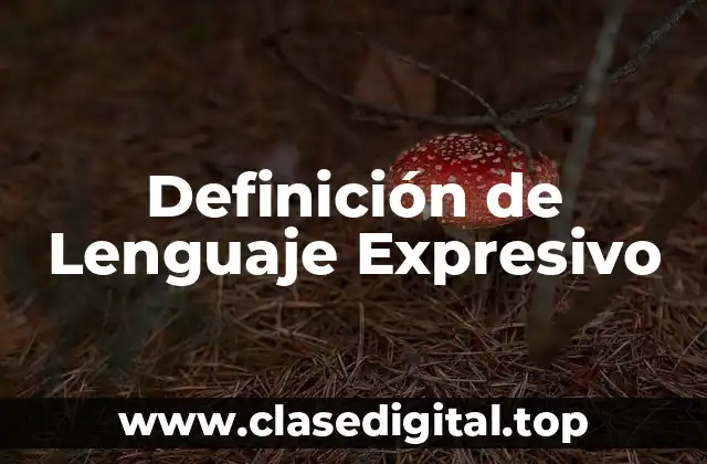 Definición de Lenguaje Expresivo