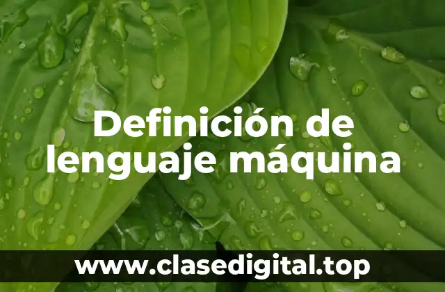 📗 Definición técnica de lenguaje máquina