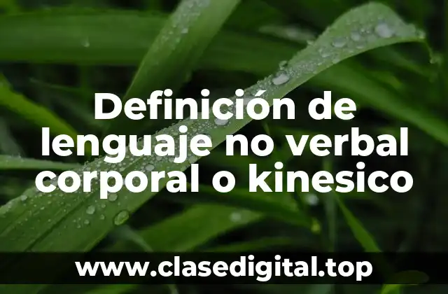 Definición de lenguaje no verbal corporal o kinesico