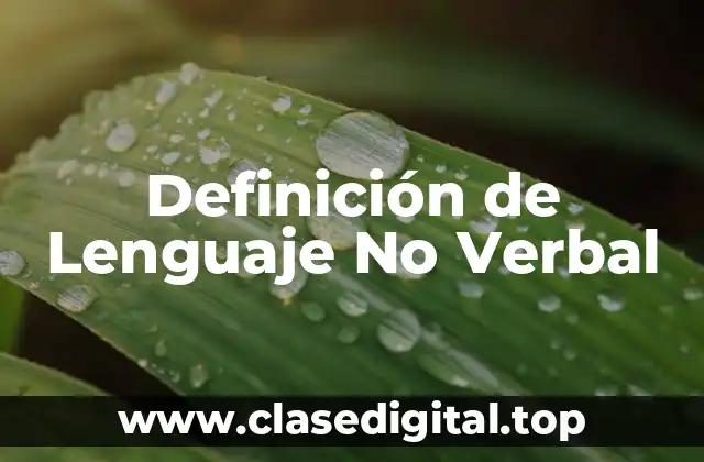 Definición de Lenguaje No Verbal