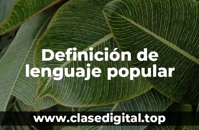 Definición de lenguaje popular