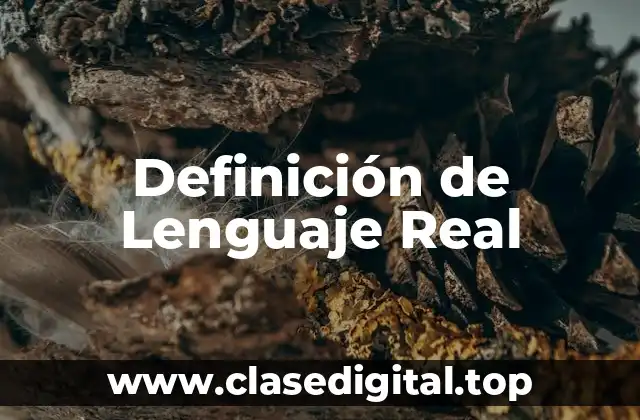 Definición de Lenguaje Real